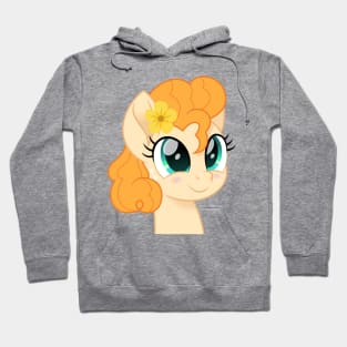 Pear Butter portrait short mane Hoodie